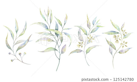 Watercolor eucalyptus branches set. Collection of hand-painted botanical illustrations with delicate leaves, buds, flowers and fruits in soft muted tones. Perfect for natural cosmetics packaging 125142780