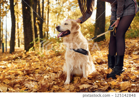 Woman is on the walk with her dog in the autumn forest at daytime Woman is on the walk with her dog in the autumn forest at daytime 125142848