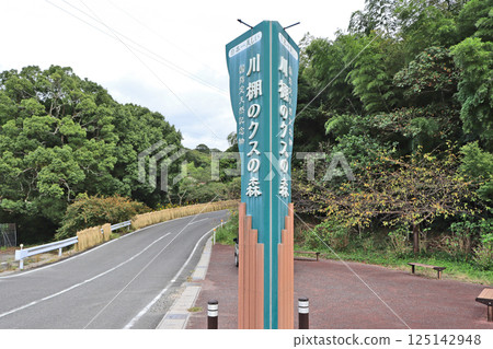 Entrance to Kawatana Camphor Forest in Shimonoseki, Yamaguchi Prefecture Entrance to Kawatana Camphor Forest in Shimonoseki, Yamaguchi Prefecture 125142948