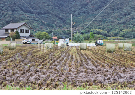 農田割草的場景 125142962