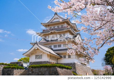 Inohana Castle in Spring, Chiba City 125142990