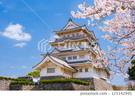 千葉市春天的豬之花城 千葉市春天的豬之花城 125142995