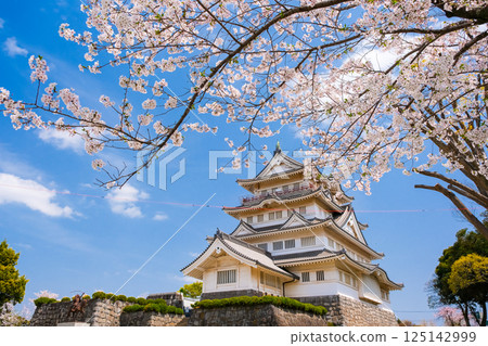 Inohana Castle in Spring, Chiba City 125142999