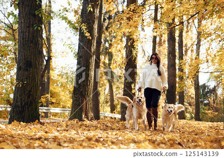 Beautiful nature. Woman on the walk with her two dogs in the autumn forest 125143139