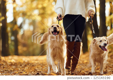 View from below. Woman on the walk with her two dogs in the autumn forest 125143190