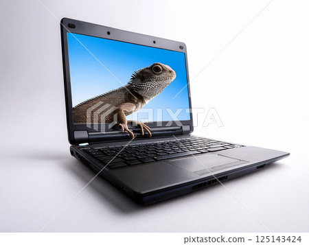 Lizard from a laptop on a white background 125143424
