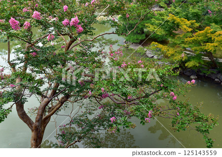 京都御所:九條的夏日居所秋水亭 京都御所:九條的夏日居所秋水亭 125143559