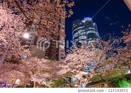 東京港區六本木新城和櫻坂的夜晚 125143653