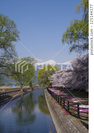 Shinshu Azumino Field Northern Alps and Kagoshima (Scenery) Scenery with spring cherry Azumino popular shooting point Shinshu Azumino Field Northern Alps and Kagoshima (Scenery) Scenery with spring cherry Azumino popular shooting point 125144177
