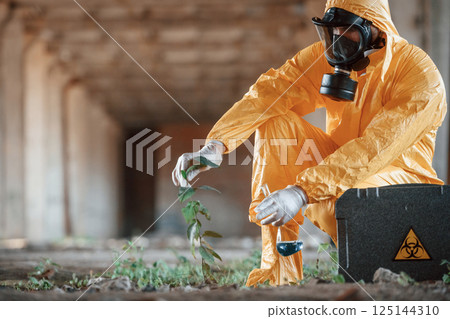 Examines the plant. Man dressed in chemical protection suit in the ruins of the post apocalyptic building 125144310