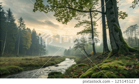 Serene river flowing through a misty forest...-插圖素材 [125145127] - PIXTA圖庫