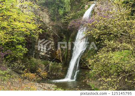 Waterfall lush greenery. Natural waterfall in the forest or jungle Waterfall lush greenery. Natural waterfall in the forest or jungle 125145795