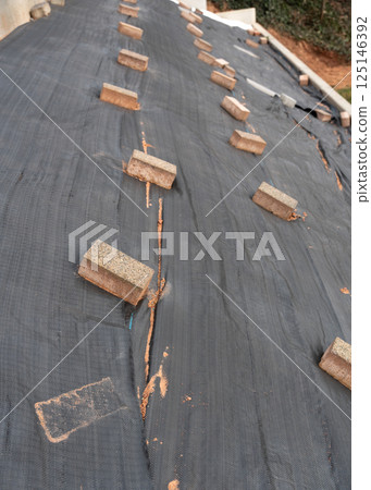 A thick black film covers the ground, preventing grass growth. Bricks are laid on top to secure the material. A practical landscaping solution for weed control and surface protection A thick black film covers the ground, preventing grass growth. Bricks are laid on top to secure the material. A practical landscaping solution for weed control and surface protection 125146392