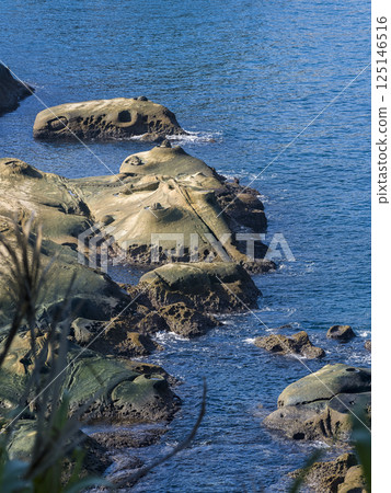 台灣野柳風景區：岩石海岸上點綴著「燭台石」和坑洞/台灣野柳 125146516