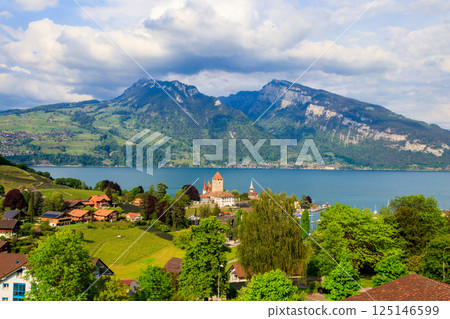 Aerial view of Spiez town with Spiez castle and Lake Thun in the Bernese Oberland, Switzerland 125146599