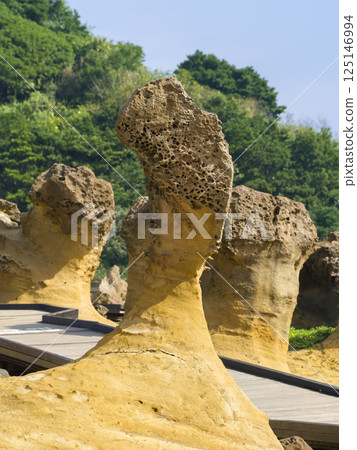 台灣野柳地質公園的蘑菇岩 台灣野柳地質公園的蘑菇岩 125146994