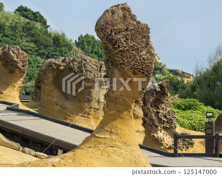 台灣野柳地質公園的蘑菇岩 台灣野柳地質公園的蘑菇岩 125147000