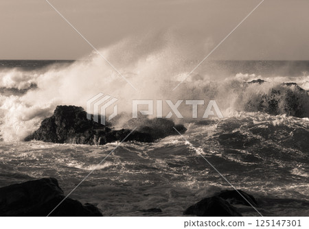 Storm waves at the coast Storm waves at the coast 125147301