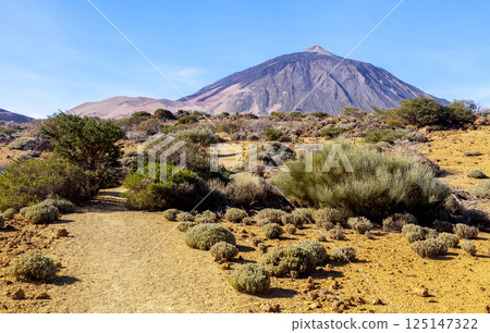 The volcano El Teide in Tenerife, Spain 125147322