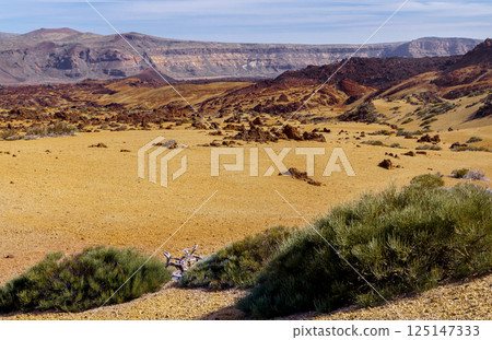 Landscape near Teide volcano, Tenerife Landscape near Teide volcano, Tenerife 125147333