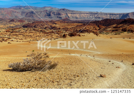 Landscape near Teide volcano, Tenerife 125147335