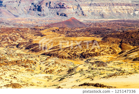 Landscape near Teide volcano, Tenerife 125147336