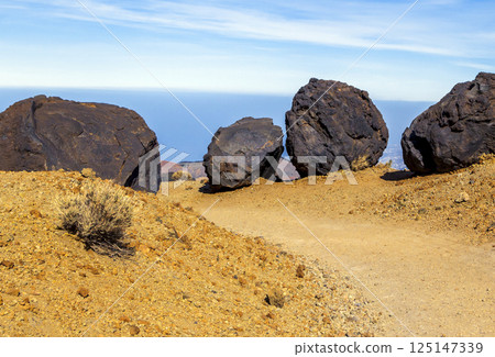 Landscape near Teide volcano, Tenerife Landscape near Teide volcano, Tenerife 125147339