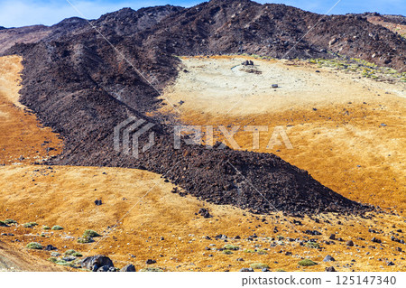 Landscape near Teide volcano, Tenerife 125147340