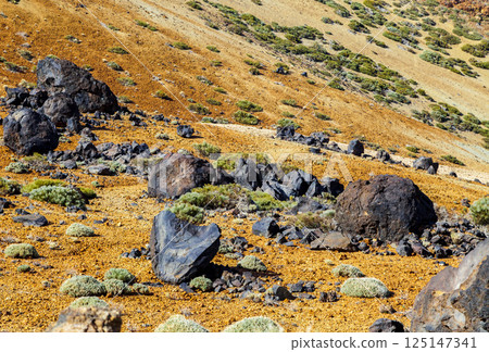 Landscape near Teide volcano, Tenerife 125147341