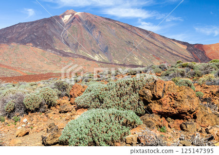 The volcano El Teide in Tenerife, Spain 125147395