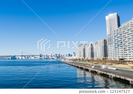 【豐洲大橋】清晨從橋上看到的街景 125147527