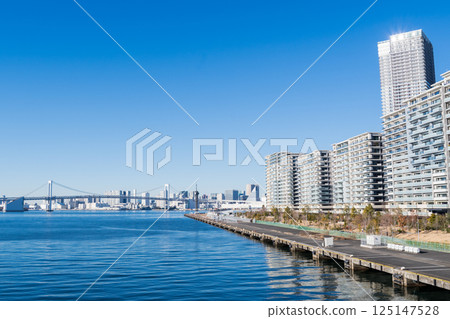 【豐洲大橋】清晨從橋上看到的街景 125147528