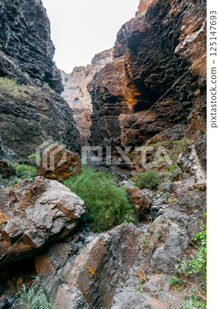 Masca canyon view from Masca canyon footpath Masca canyon view from Masca canyon footpath 125147693