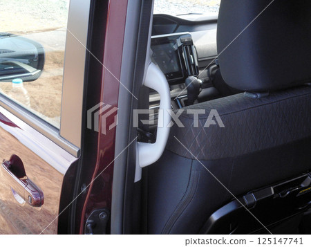 Grips to help get in and out of family cars Grips to help get in and out of family cars 125147741