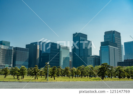 Trees and skyscrapers of the Imperial Palace Trees and skyscrapers of the Imperial Palace 125147769