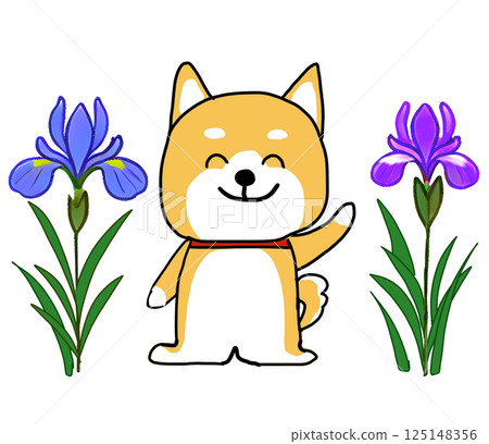 鳶尾花環繞的柴犬揮手 125148356