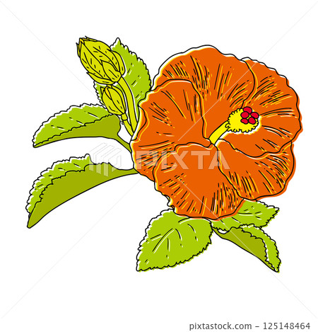 Summer flowers Hibiscus Summer flowers Hibiscus 125148464