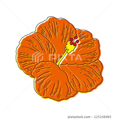 Summer flowers Hibiscus Summer flowers Hibiscus 125148465