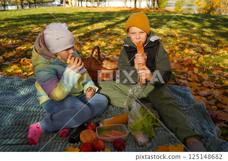 Crisp Air, Falling Leaves, and a Perfect Picnic Under the Autumn Sky Crisp Air, Falling Leaves, and a Perfect Picnic Under the Autumn Sky 125148682