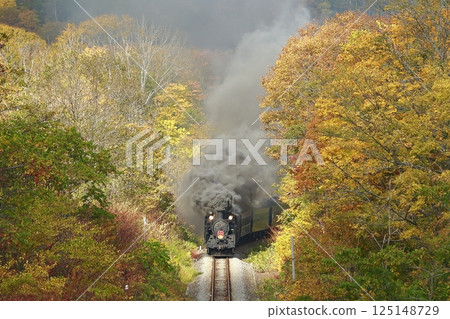 Hakodate line of autumn leaves Hakodate line of autumn leaves 125148729