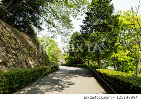 Ikuta Ryokuchi, a little way from the east entrance, spring blue sky, Tama Ward, Kawasaki City, Kanagawa Prefecture Ikuta Ryokuchi, a little way from the east entrance, spring blue sky, Tama Ward, Kawasaki City, Kanagawa Prefecture 125148954