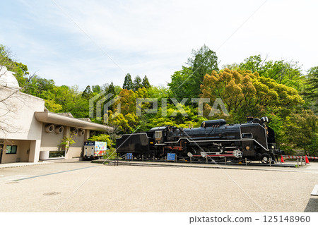 神奈川縣川崎市多摩區，春天的藍天下，川崎市科學館旁，保存完好的D51 408型車輛景觀 125148960