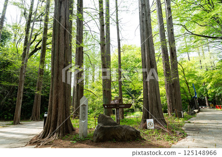 A guidepost at the pond in the back of Ikuta Ryokuchi, blue spring sky, Tama Ward, Kawasaki City, Kanagawa Prefecture A guidepost at the pond in the back of Ikuta Ryokuchi, blue spring sky, Tama Ward, Kawasaki City, Kanagawa Prefecture 125148966