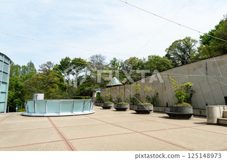 A stroll around the Taro Okamoto Museum of Art in Kawasaki City, under the blue sky of spring, Tama Ward, Kawasaki City, Kanagawa Prefecture A stroll around the Taro Okamoto Museum of Art in Kawasaki City, under the blue sky of spring, Tama Ward, Kawasaki City, Kanagawa Prefecture 125148973