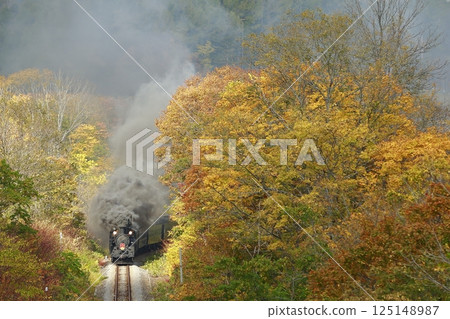 Hakodate line of autumn leaves 125148987