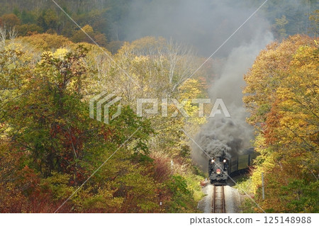 Hakodate line of autumn leaves 125148988