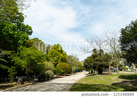 The road leading to the Kawasaki Science Museum under the blue spring sky, Tama Ward, Kawasaki City, Kanagawa Prefecture 125148989