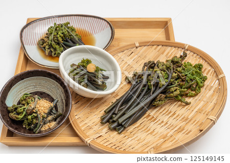 蕨菜和漏勺蕨菜的庫存照片 - 各種日本料理 蕨菜和漏勺蕨菜的庫存照片 - 各種日本料理 125149145