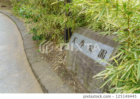 [Chiba City, Chiba Prefecture] Inohana Park 125149445