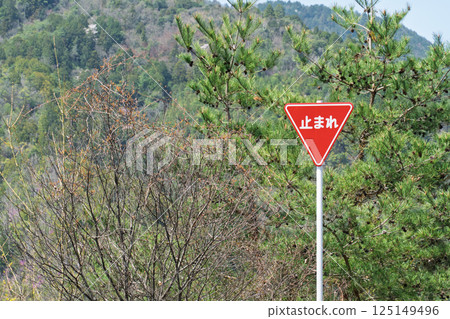停止道路標誌 停止道路標誌 125149496
